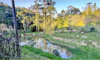 Imagem: Sítio Rural à venda, Vargedo, São Lourenço