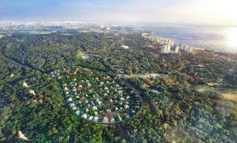 Imagem 2: MOSAICO PONTA NEGRA LOTE PLANO 250m2