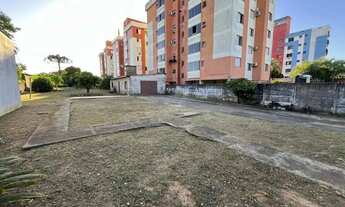 Imagem 5: Passo das Pedras