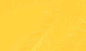 Imagem: Repasse de 1 Lote 200 m2 no LAGO MONTENEGRO