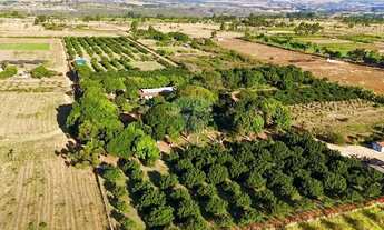 Imagem: Chácara com 5 Hectares à Venda Casa Ampla