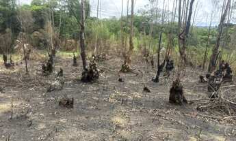 Imagem 3: O Melhor de Ibiúna: Terrenos 1000m² com Documentação OK
