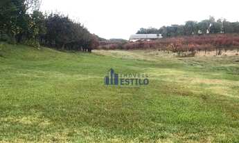 Imagem 2: Terreno à venda, 559 m² por R$ 699.000,00 - Monte Bérico - Caxias do Sul/RS