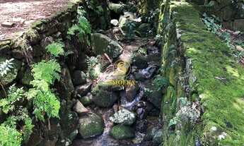 Imagem 3: Terreno para locação anual, Armação do Pântano do Sul, Florianópolis