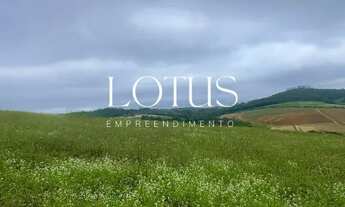 Imagem 4: 83C- TERRENO COM ENTRADA FACILITADA EM COTIA