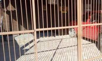 Imagem 6: Casa Mista a venda