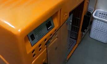 Imagem 5: Vendo petshop Novo Eldorado