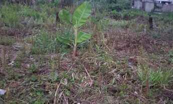 Imagem: 3 LOTES JUNTOS