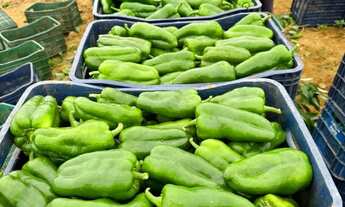 Imagem 5: Fazenda em Varzea Nova