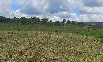 Imagem: Lote, na ponte alta