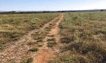 Imagem 3: Fazenda à Venda 49 Alqueires entre Piranhas e Bom Jardim GO