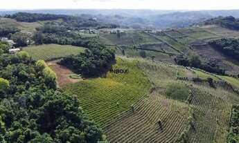 Imagem 7: INBOX CIA IMOBILIÁRIA VENDE, TERRENO EM MONTE BELO DO SUL, FRENTE NORTE