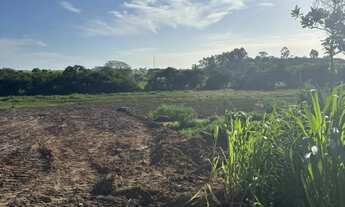 Imagem: Terreno 1350m2 em rua asfaltada