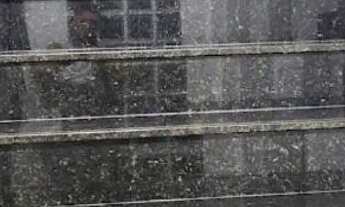 Imagem 4: Linda casa parque das Palmeiras