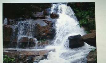 Imagem 6: Fazenda oportunidade em Barro Alto 125 alqueires