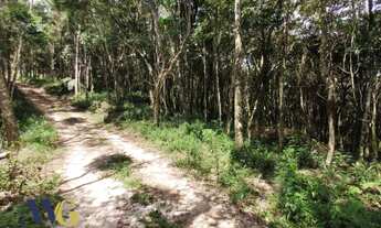Imagem: Chácara para Venda em Campo Largo, Estrada