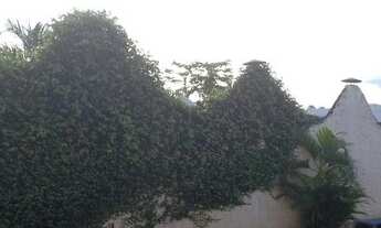 Imagem: Brasília - Galpão/Depósito/Armazém