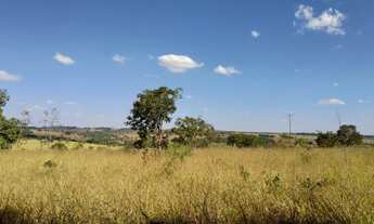 Imagem 3: Chácara entre Bela Vista e Piracanjuba com riacho a 80 km de Goiânia 2 hectares