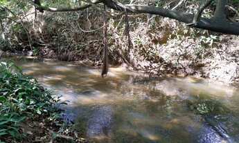 Imagem: Chácara entre Bela Vista e Piracanjuba