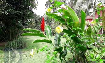 Imagem 7: Oportunidade de Investimento - 4 casas prontas em Camburi