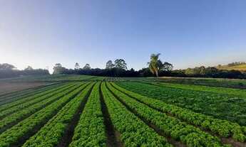 Imagem 4: Viva rodeado de beleza e tranquilidade em Reserva Itália - Sinta-se em casa!