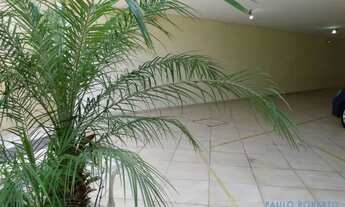 Imagem 6: APARTAMENTO - VILA CAMILÓPOLIS - SP