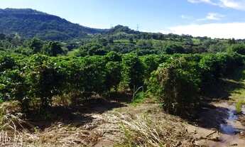 Imagem 2: Sitio com 1.8 Alqueires em Monte Santo - Mau