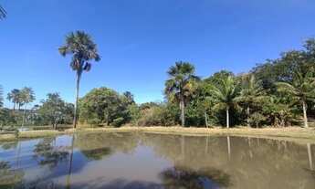 Imagem: Vendo 4 Lotes Juntos ( 1.440 m2) / Frente