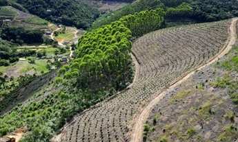 Imagem 7: Sitio em Domingos Martins (Melgaço
