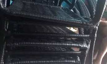 Imagem 2: Centro de mesa e quatro cadeiras