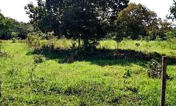 Imagem 4: Fazenda de 61 Alqueires ! Região de Estrela do Norte - GO !