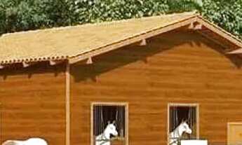 Imagem 6: Lote de 20 x 30 mts p/ transferência) nas Chácaras Fazenda 2