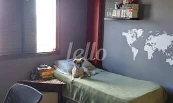 Imagem 5: São Paulo - Apartamento Padrão - Vila Mariana