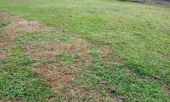 Imagem 4: Vendo uma casa de 50 mil