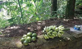 Imagem 4: Quarto aluguel Quarto com aluguel por R$800 /mês