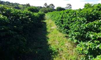 Imagem: Sitio com 1.8 Alqueires em Monte Santo