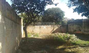 Imagem 3: EXCELENTE OPORTUNIDADE: (CA01462