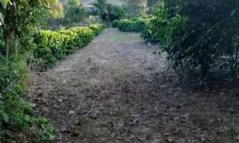 Imagem 2: Sitio com 1.5 Alqueires em São Sebastião do Paraiso com Café - Pablo