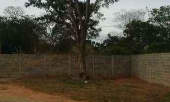 Imagem 7: Vende-se chácara