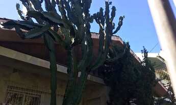 Imagem 5: Casa para Venda - 170m², 3 dormitórios, sendo 1 suites, 2 vagas - Vila Ipiranga