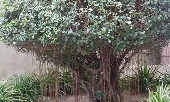 Imagem 4: SUA CHANCE DE SAIR DO ALUGUEL