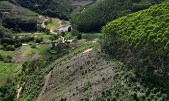 Imagem 5: Sitio em Domingos Martins (Melgaço