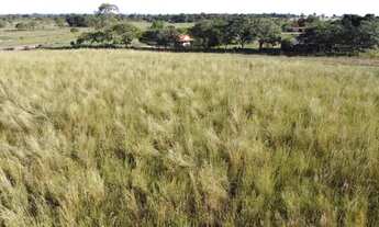 Imagem 7: Fazenda em Flores de Goiás (1.033 ha