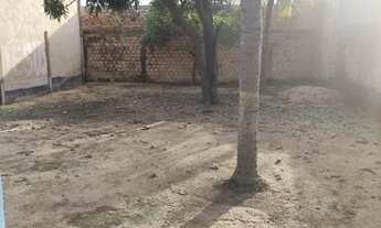 Imagem 6: Aluga-se está casa