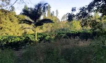 Imagem 5: Sitio com 1.5 Alqueires em São Sebastião do Paraiso com Café - Pablo