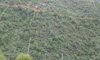 Imagem 5: Chácaras Chácara com venda por R$8.000