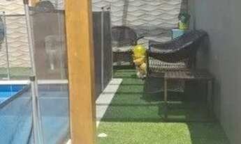 Imagem 2: Sobrado com 4 quartos, 320 m², aluguel por R$ 11.000/mês Condominio Verana - São José dos