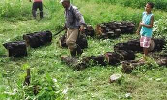 Imagem 4: Casa - Sítio Casa com 2 dormitórios