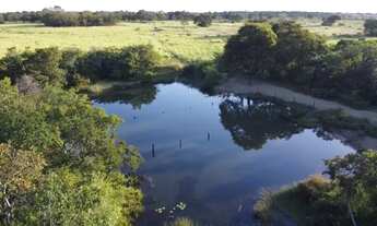 Imagem 4: Fazenda em Flores de Goiás (1.033 ha