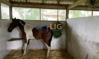 Imagem 5: Fazenda/Sítio/Chácara para venda tem 50000 metros quadrados em centro - Vigia - PA